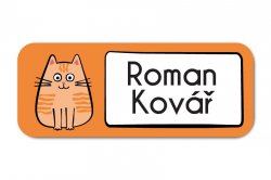 Nažehlovací jmenovky Kočičky 35x14 mm (44ks)