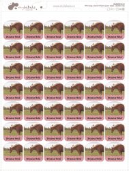 22mm FOTOSAMOLEPKA - JMENOVKA (42ks)