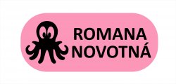 NAŽEHLOVACÍ štítky IKONA 35x15 mm (44ks)