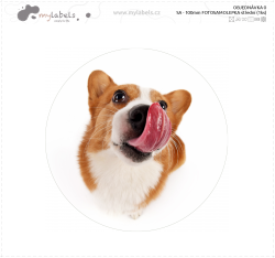 SA - 100mm FOTOSAMOLEPKA střední (1ks)